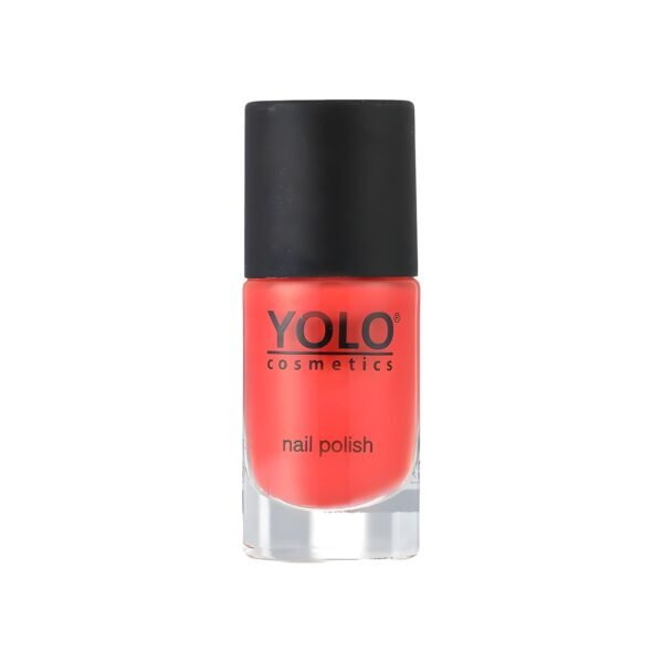 YOLO Flame 196