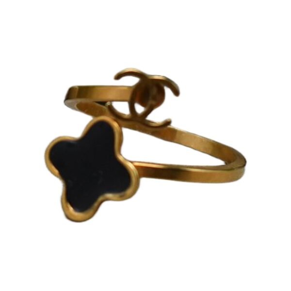 Stainless ring