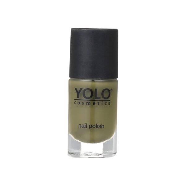 YOLO Army 208
