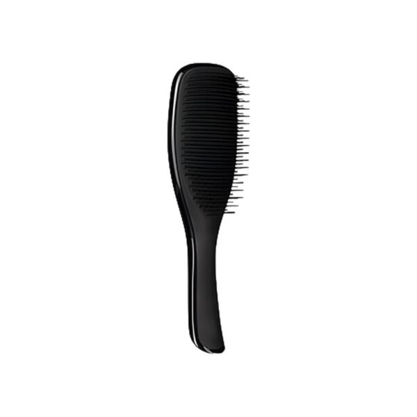 The Wet Detangler - Midnight Black