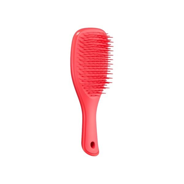 Tangle Teezer Mini The Ultimate Detangler Hairbrush Gentle on Wet Hair - Pink Punch
